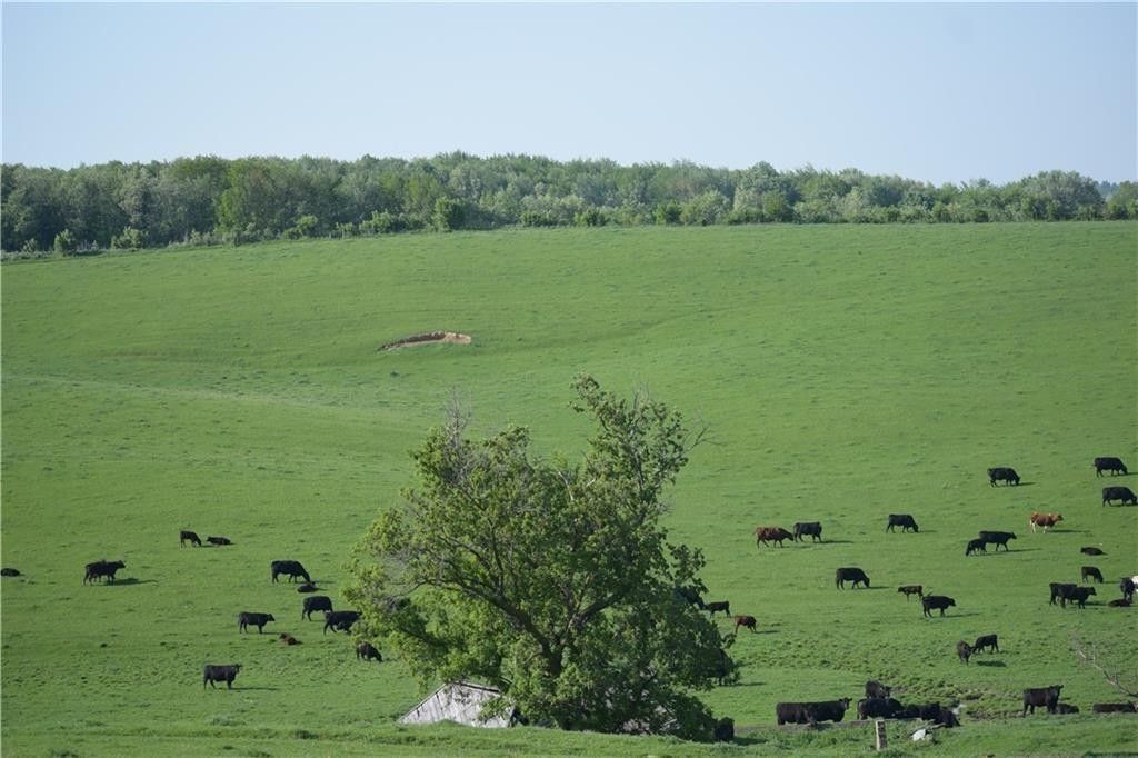 80 Acres, 0 Lubinski Road, Humbird, WI 54746 Land and Farm