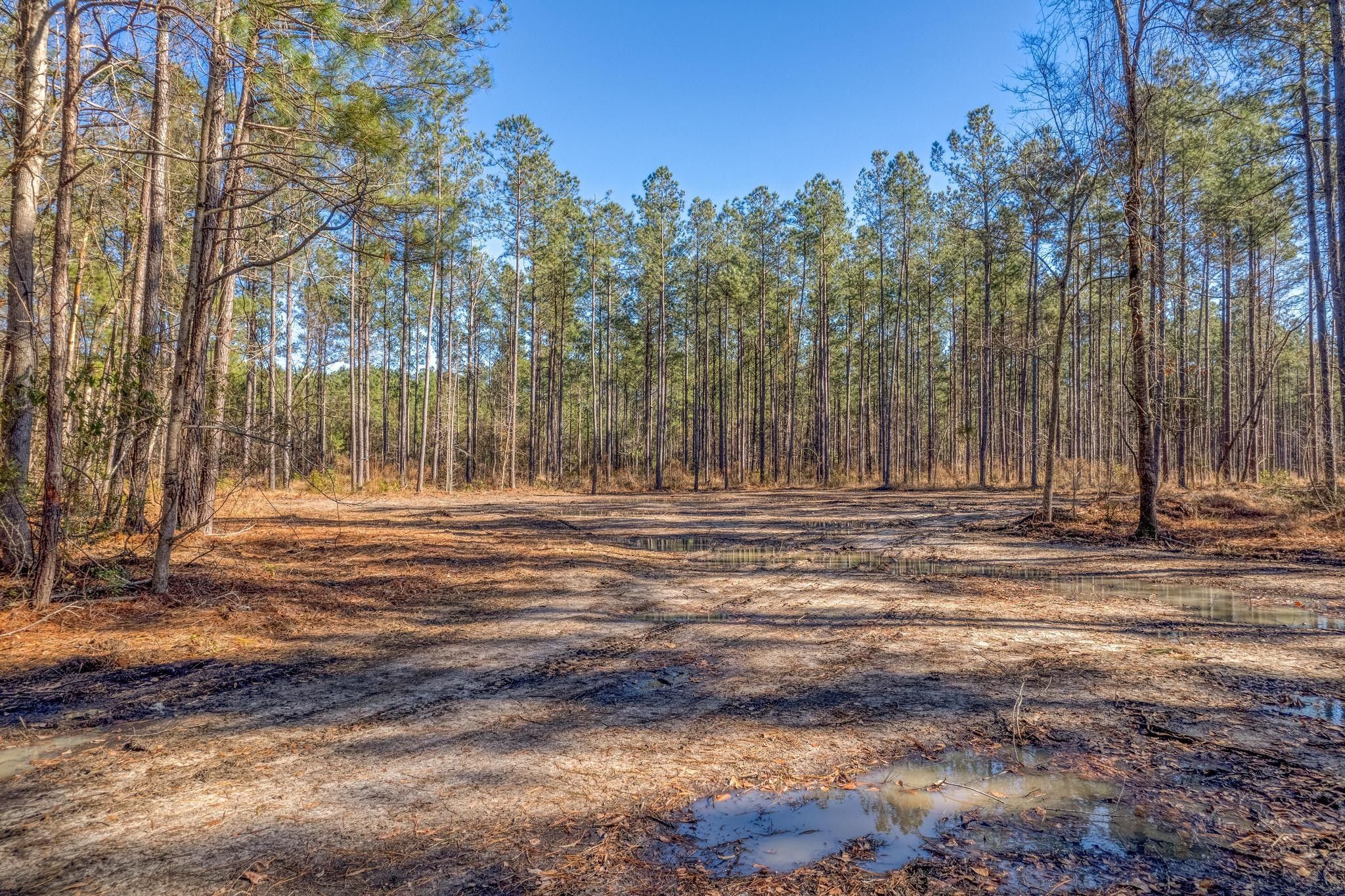 5.84 Acres, 1118 Dehayville Drive, Pinopolis, SC 29469 Land and Farm