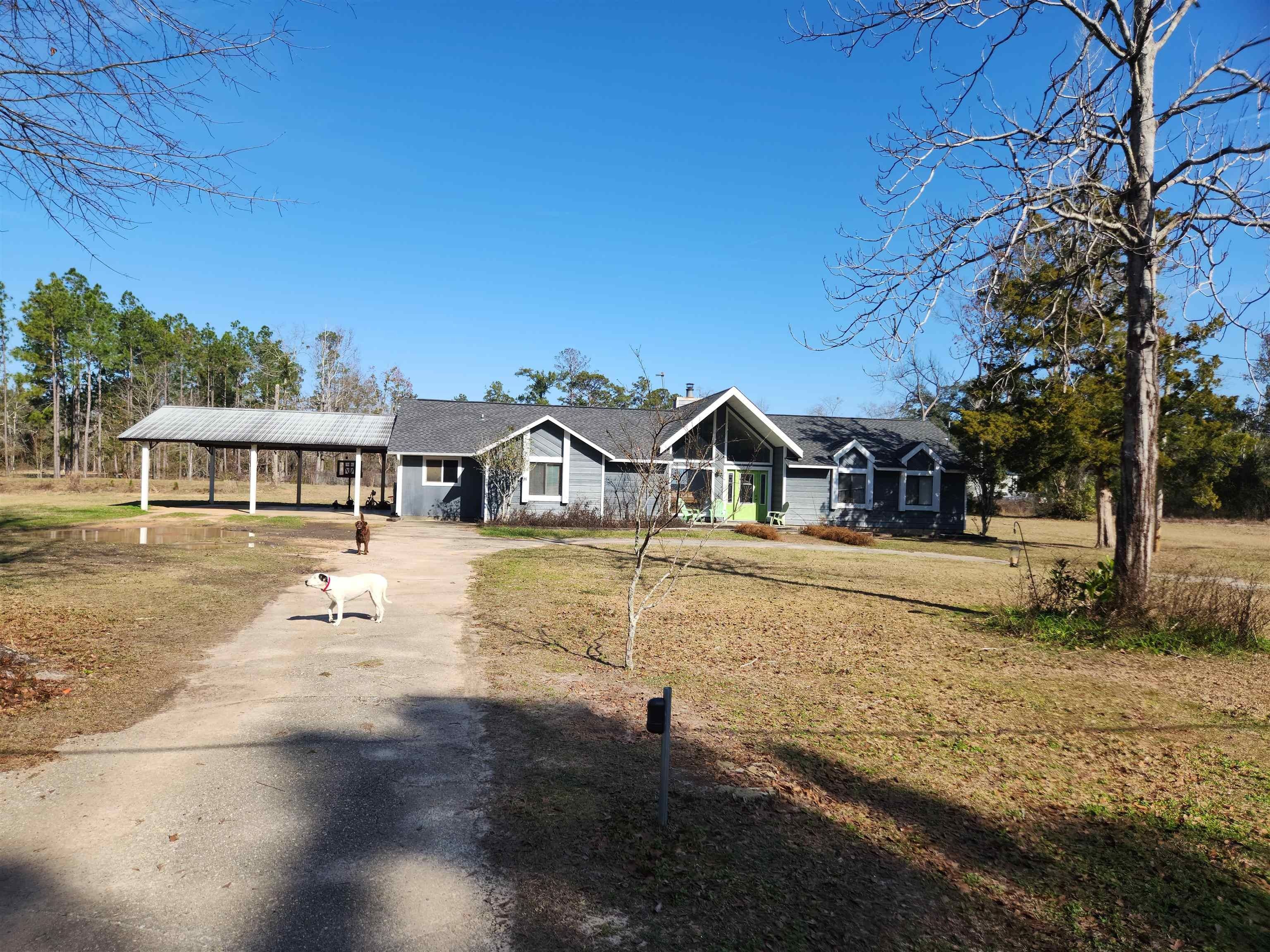 3.01 Acres, 10027 NW Lake Mystic Lee Duggar, Bristol, FL 32321 Land