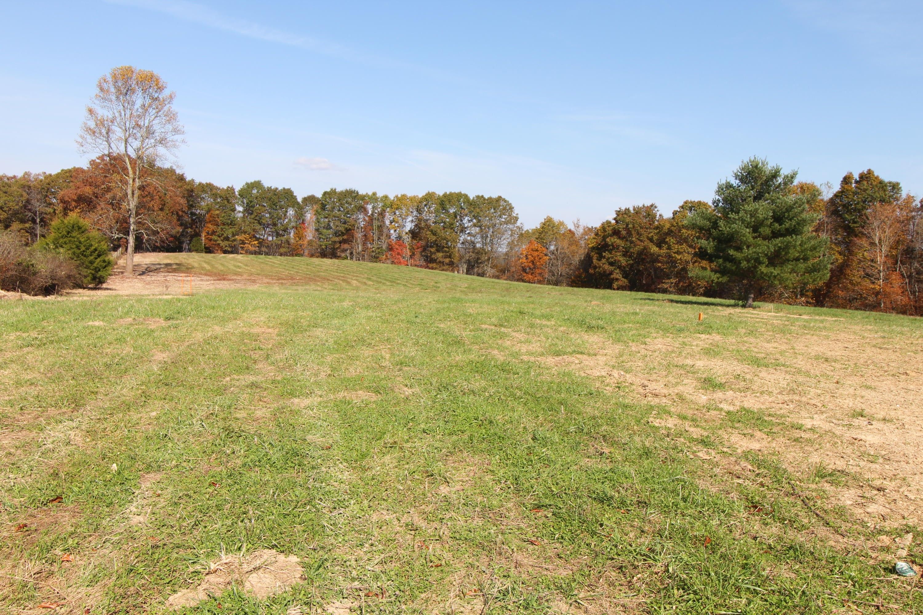 37.28 Acres, Tinchers Country Estates, Ballard, WV 24918 Land and Farm