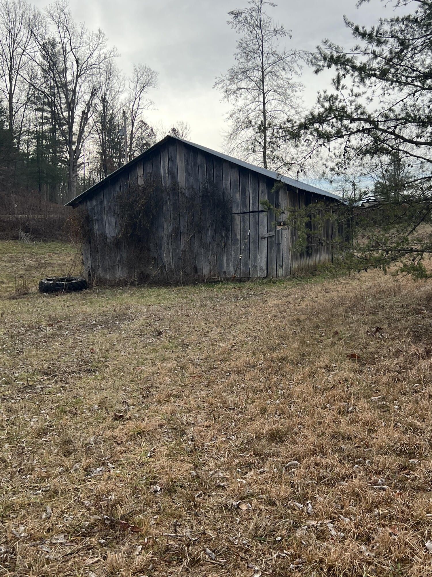 2.5 Acres, 49 Ross Road, Hazel Green, KY 41332 Land and Farm