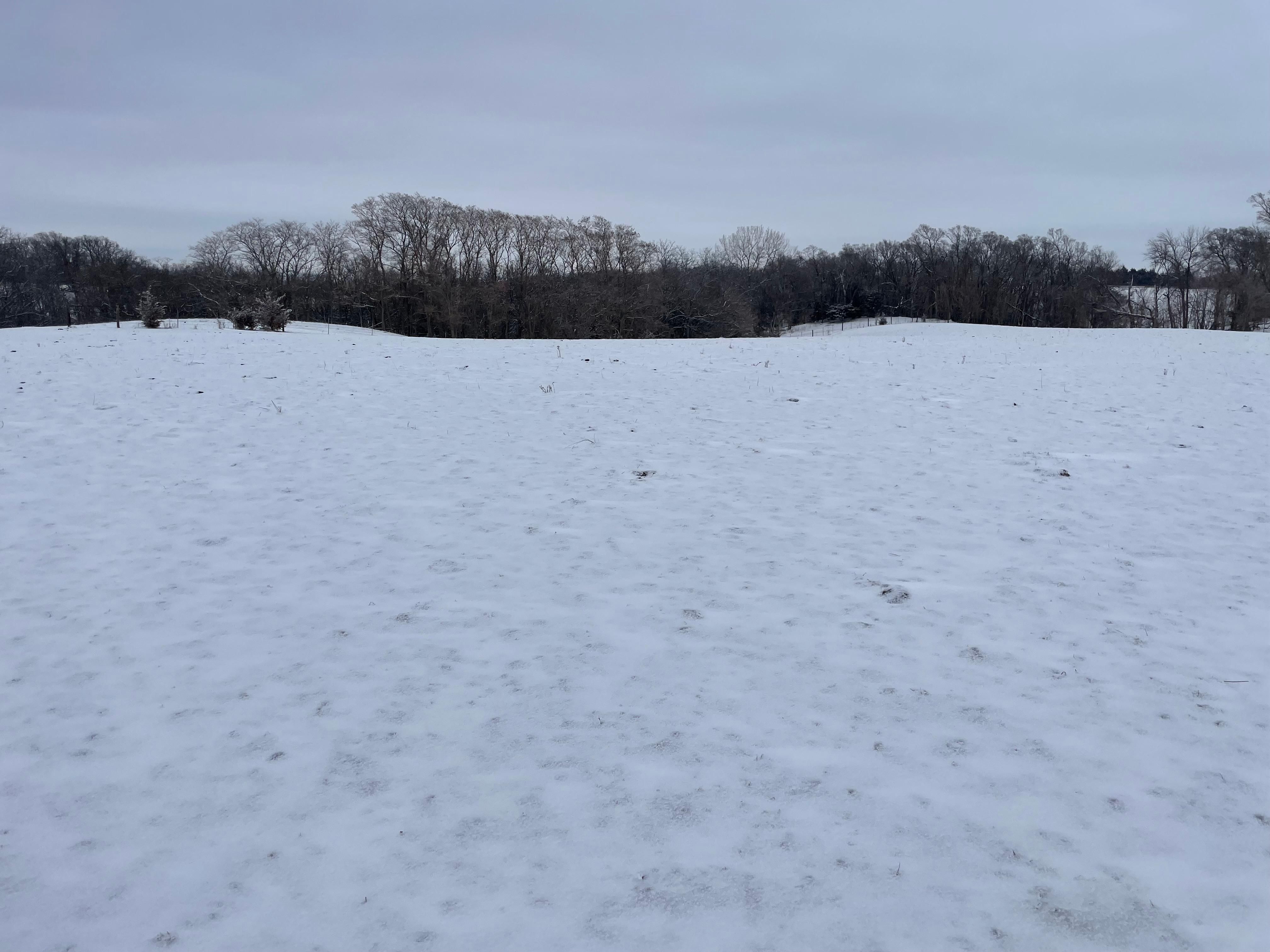 68.69 acres in Griswold, IA, 51535 Land and Farm