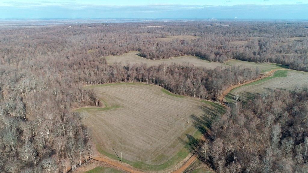 113 Acres, County Road 1220, Bardwell, KY 42023 Land and Farm