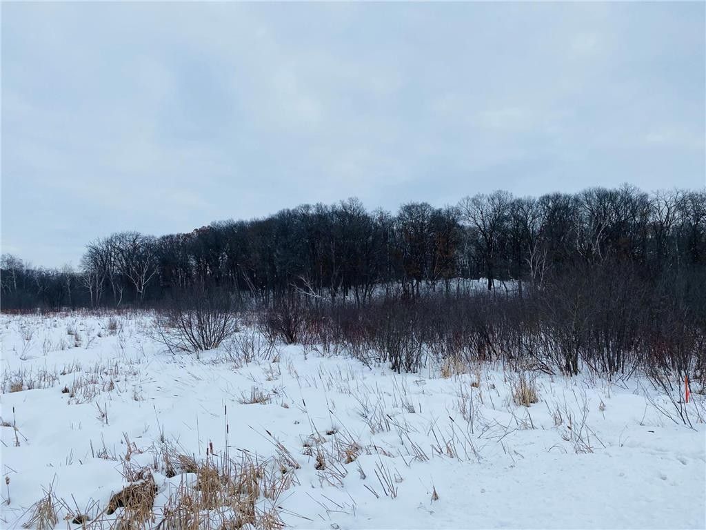 5.73 Acres, Lot 1 Block 1 136th Street, Princeton, MN 55371 Land and Farm
