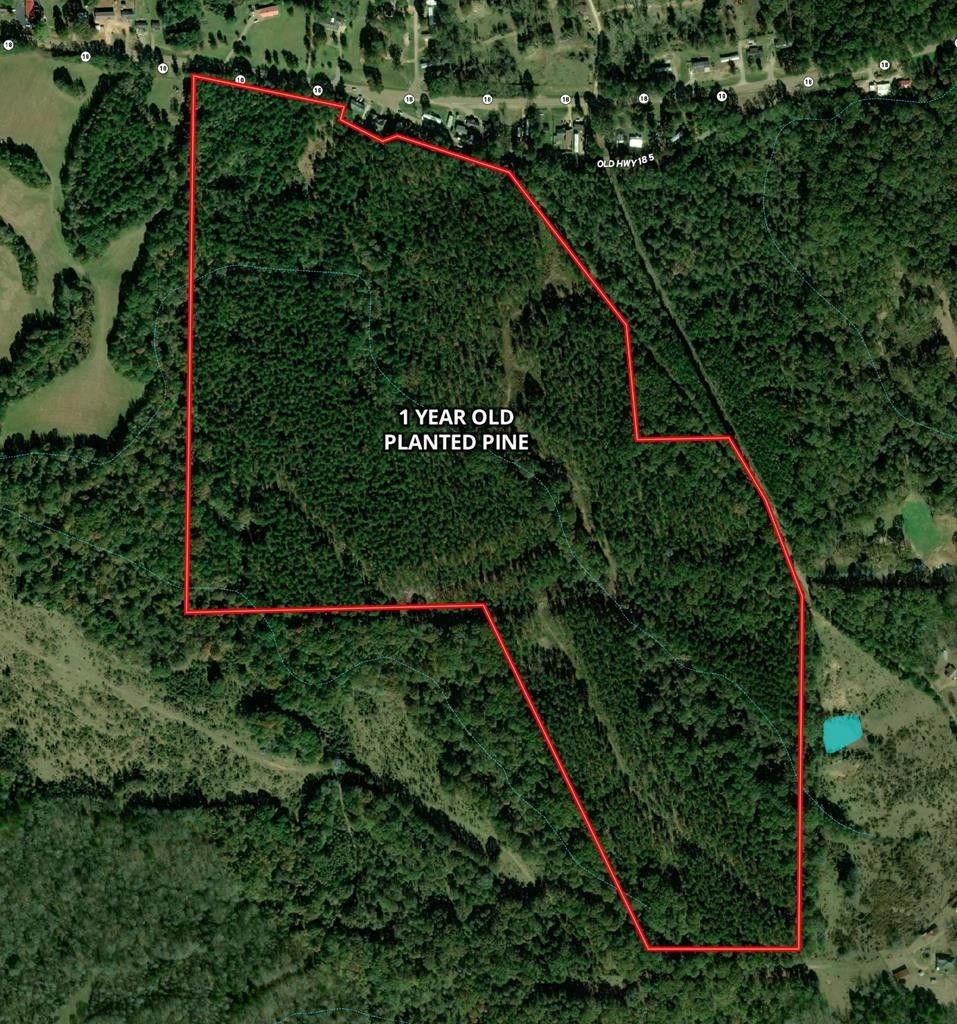 130 Acres, Patton Road, Port Gibson, MS 39150 Land and Farm