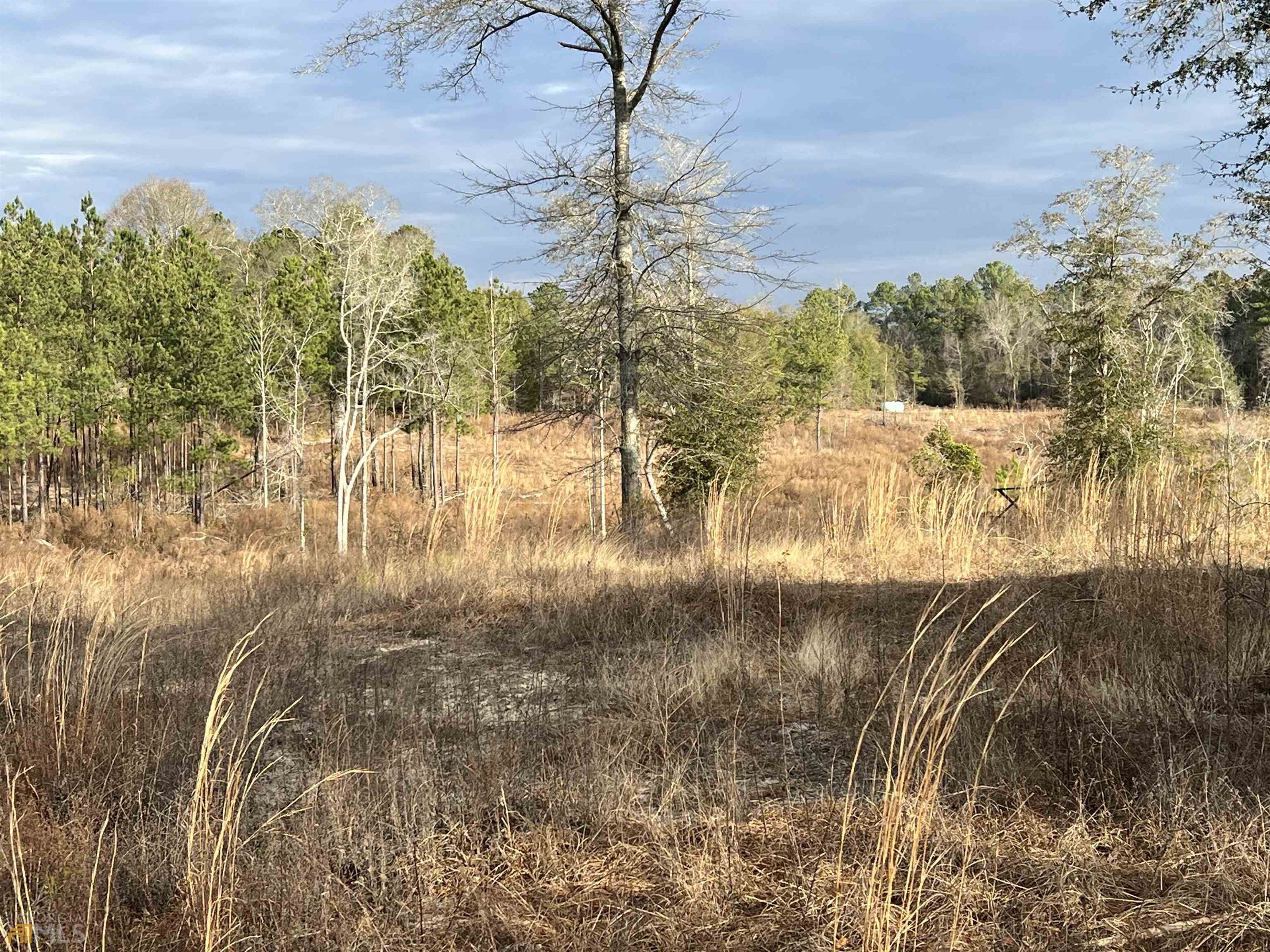 16.15 Acres, 2921 Corsey Grove Way, Tarrytown, GA 30470 Land and Farm