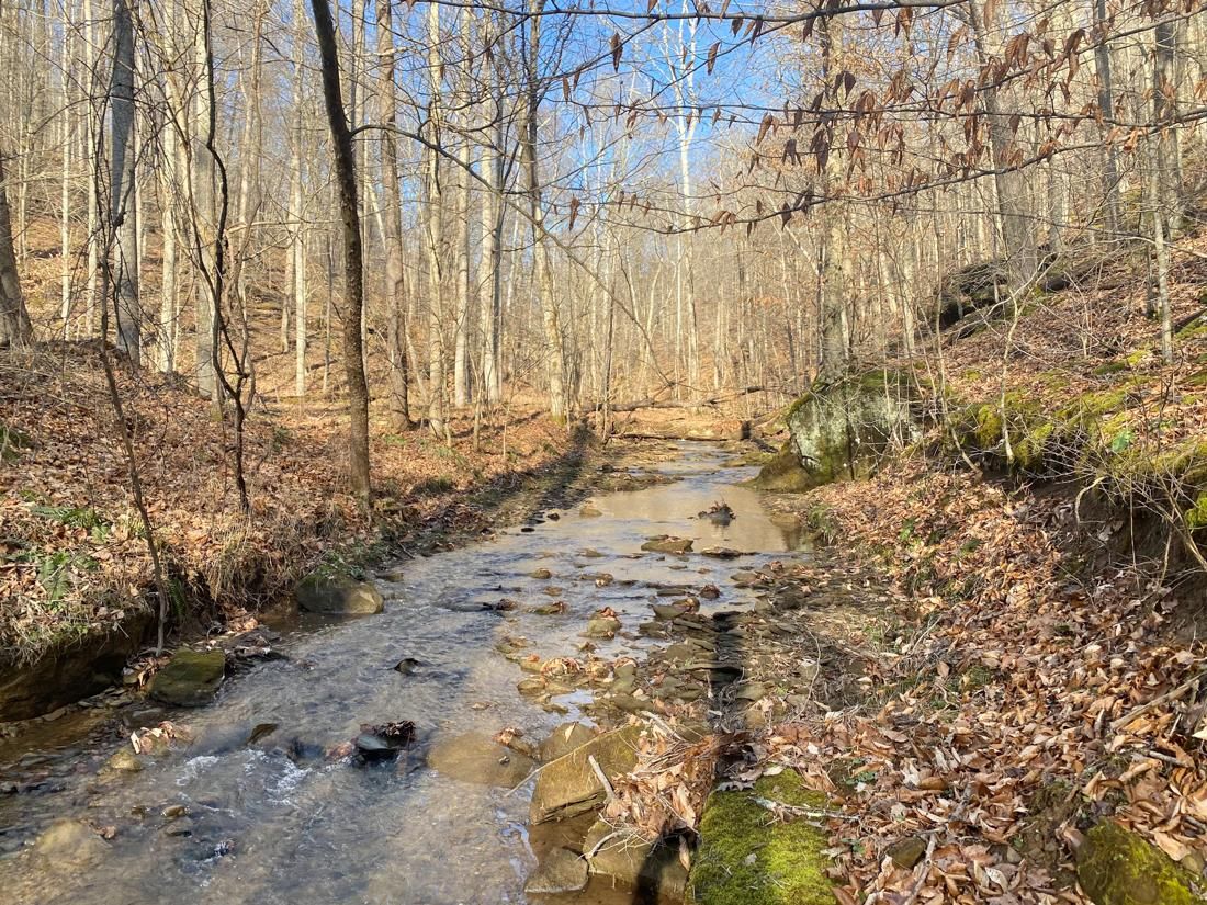 200 Acres, Devil Hole Rd., Harrisville, WV 26362 Land and Farm