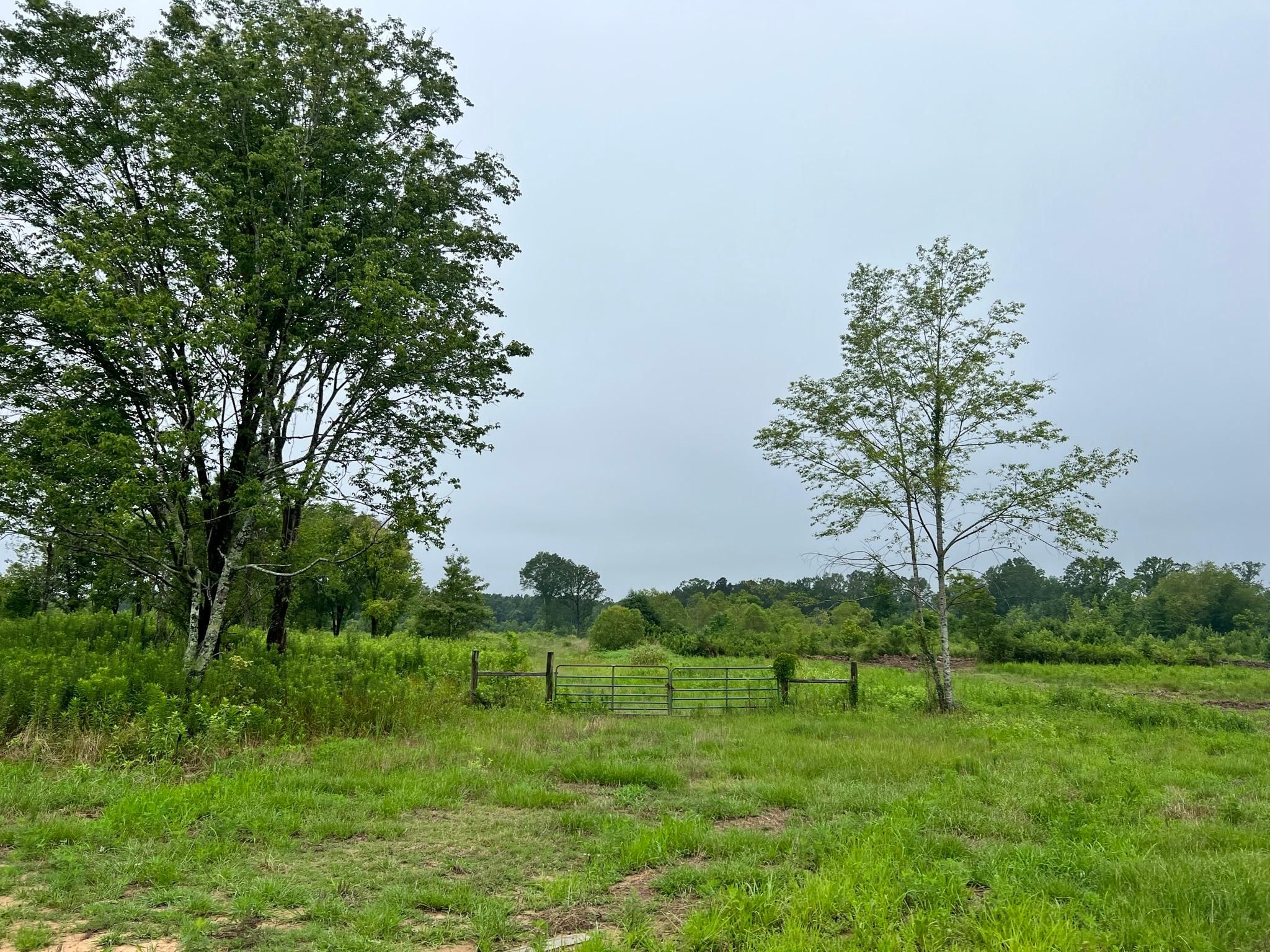 55.8 Acres, Forest, MS 39074 Land and Farm