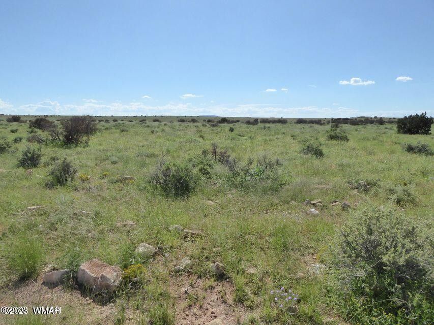 4.82 Acres, 5148 Byrnes Rd Chevelon Canyon, Heber, AZ 85928 Land and Farm