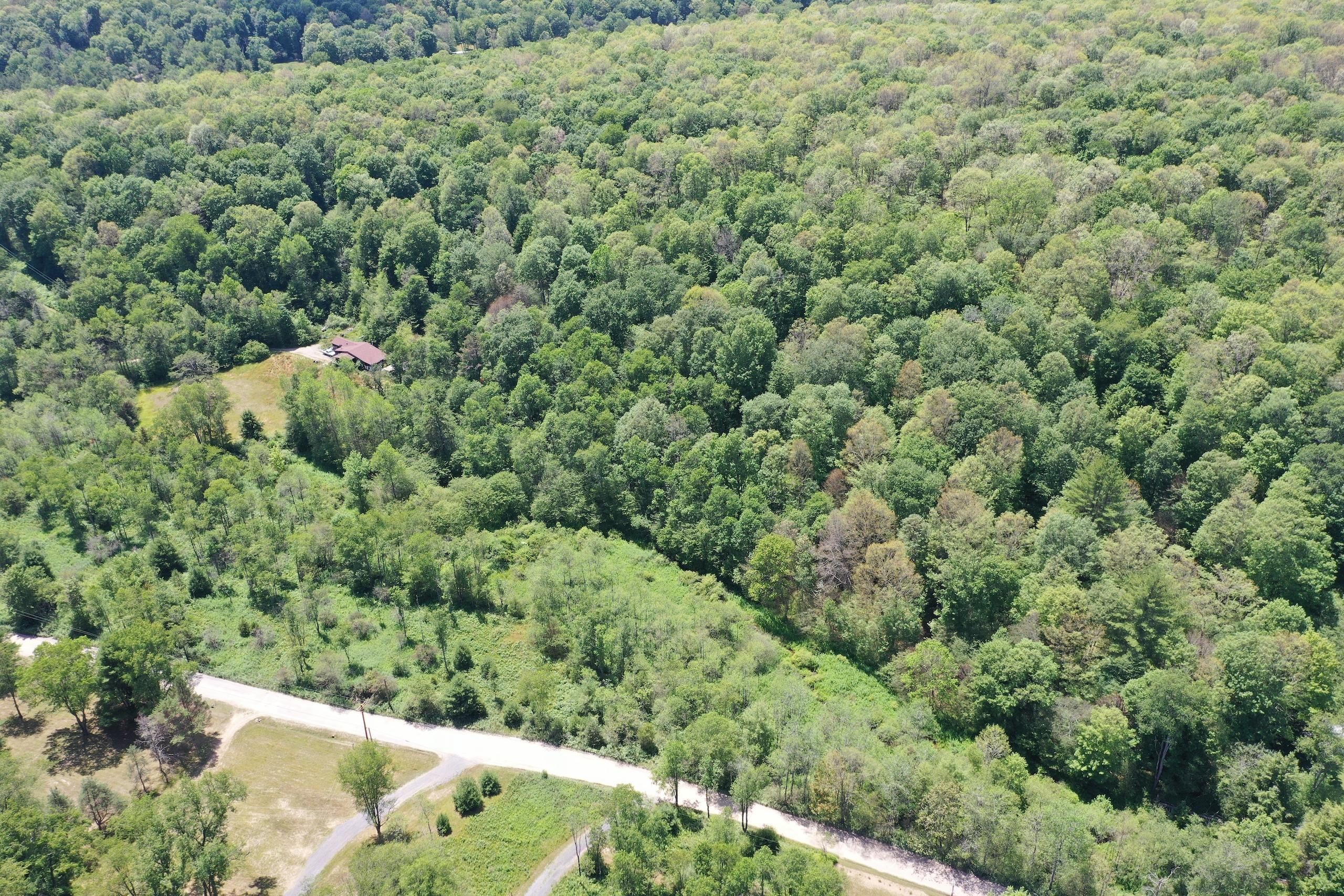 5.33 Acres, Paddy's Run Road, LotWP001, Cross Fork, PA 17729 Land