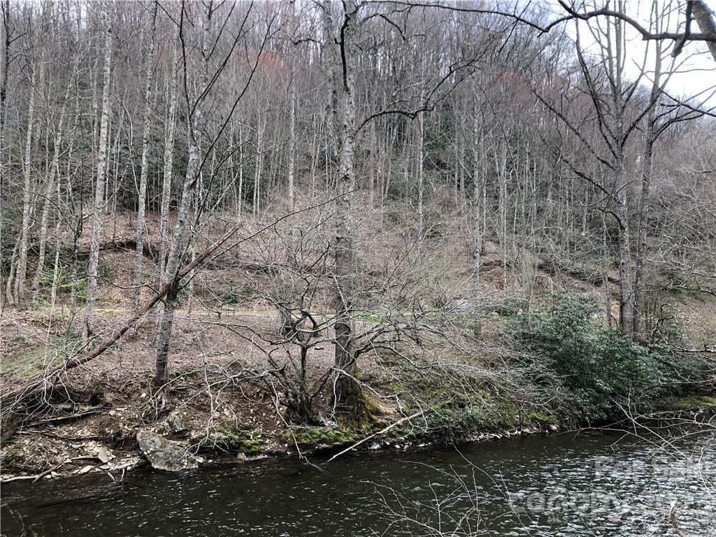 19.61 Acres, 99999 Forks of the River Road, Rosman, NC 28772 Land and