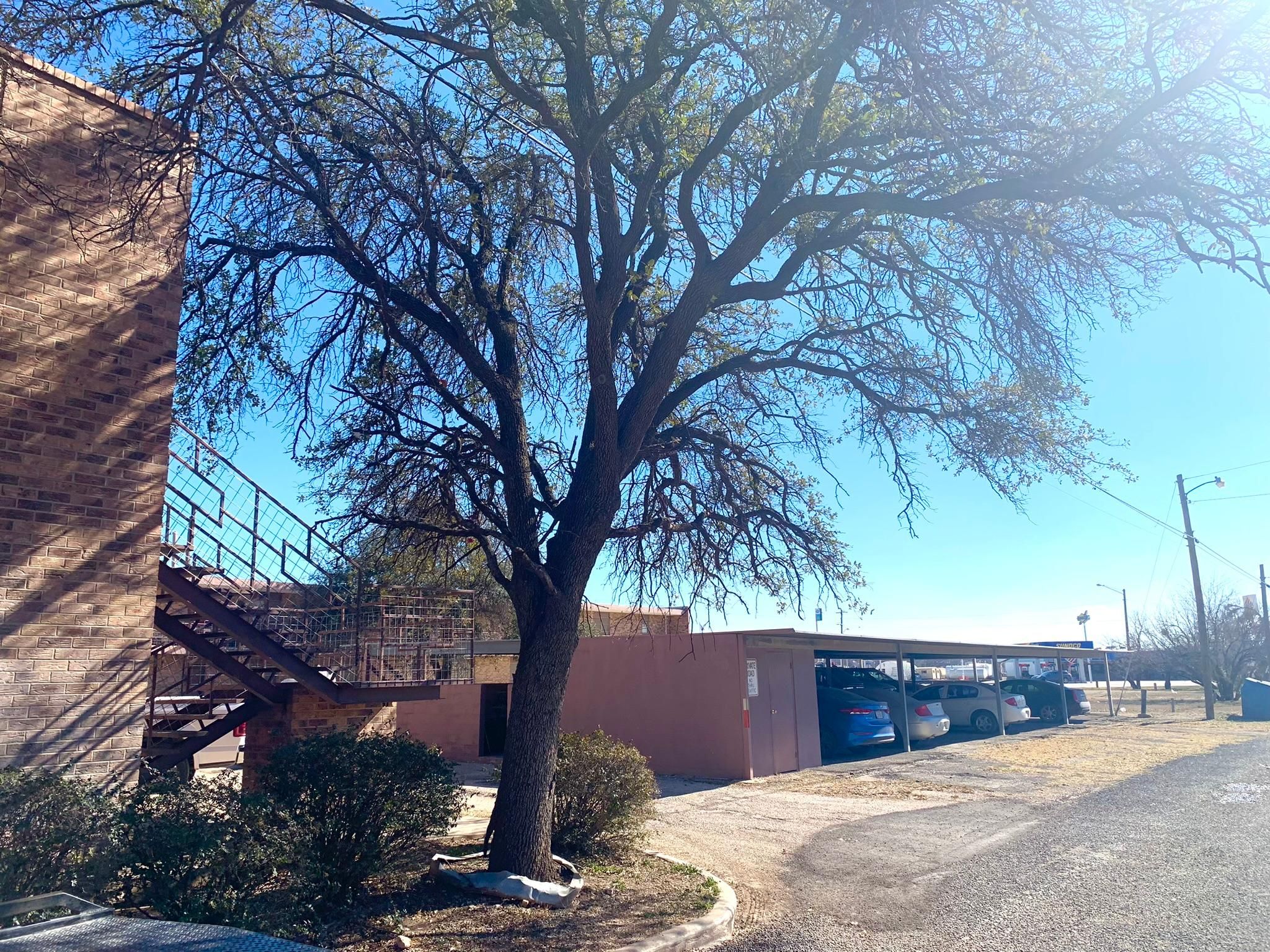 1.12 Acres, 1009 11th Place, Ozona, TX 76943 Land and Farm