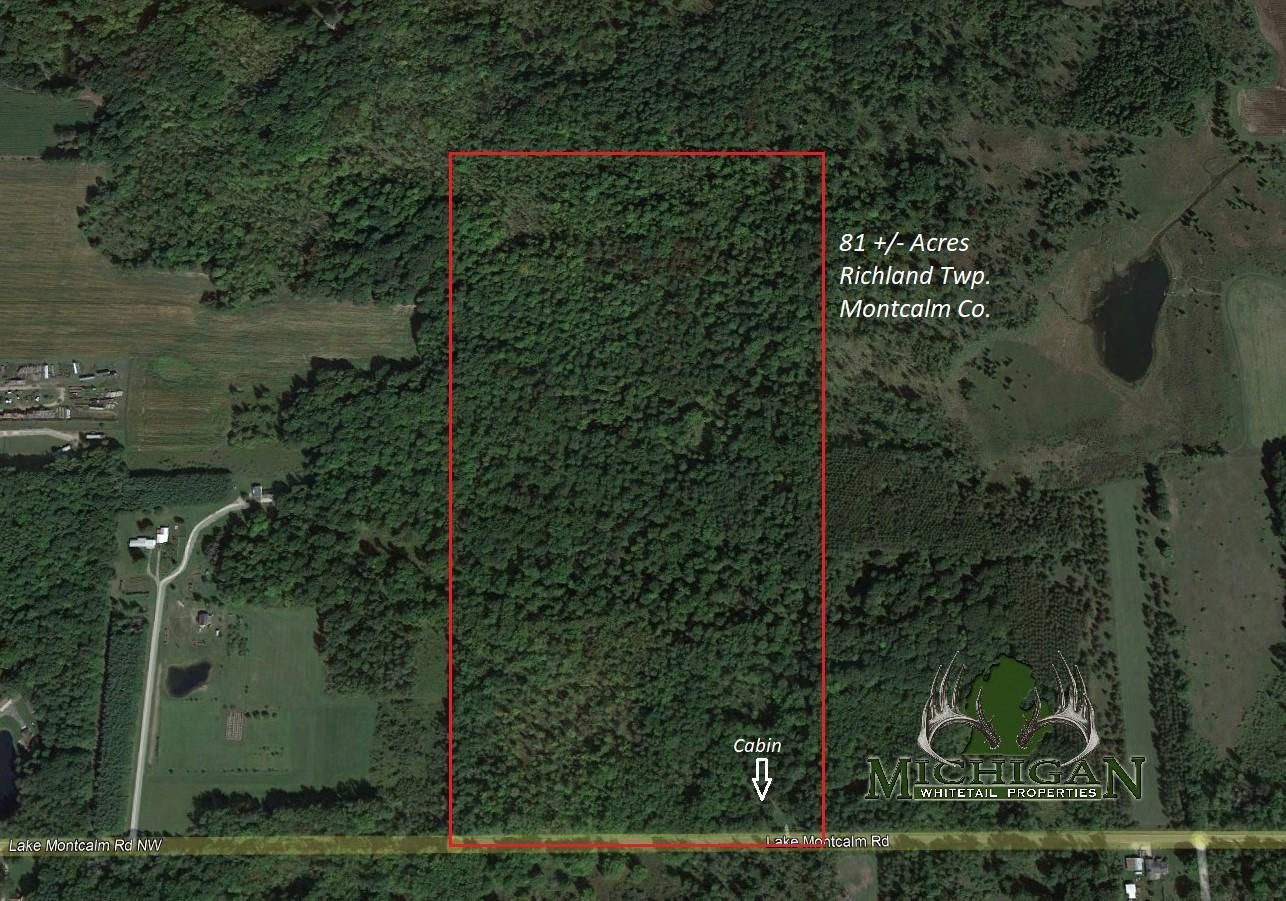 11723 Lake Montcalm Road, Riverdale, MI 48877 MLS 11723 E Lake