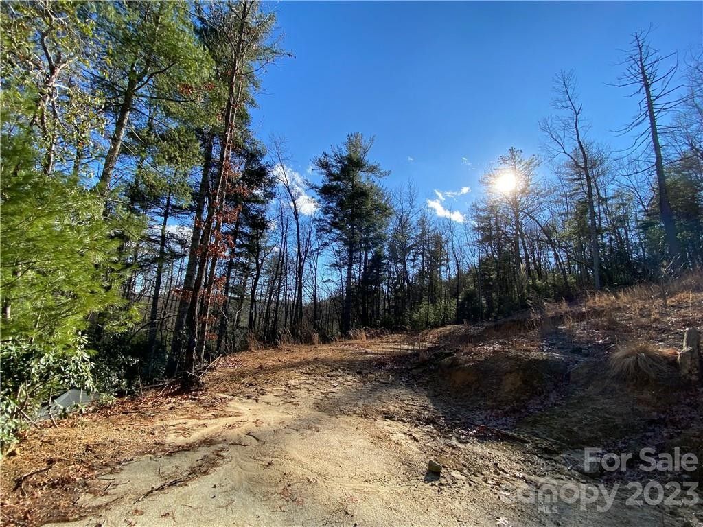 2.01 Acres, 00000 Old Mt Olivet Road, Zirconia, NC 28790 Land and Farm