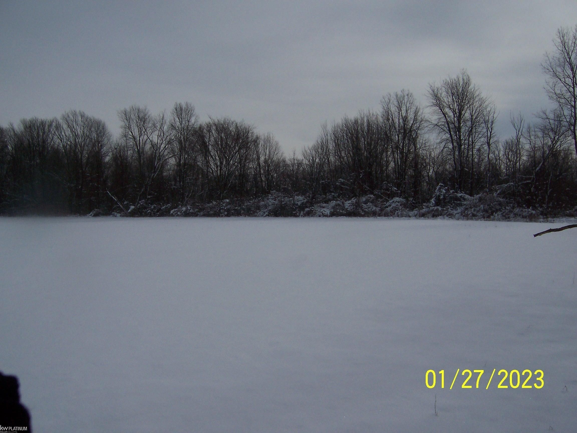 7.83 Acres, Cove Rd, Goodells, MI 48027 Land and Farm