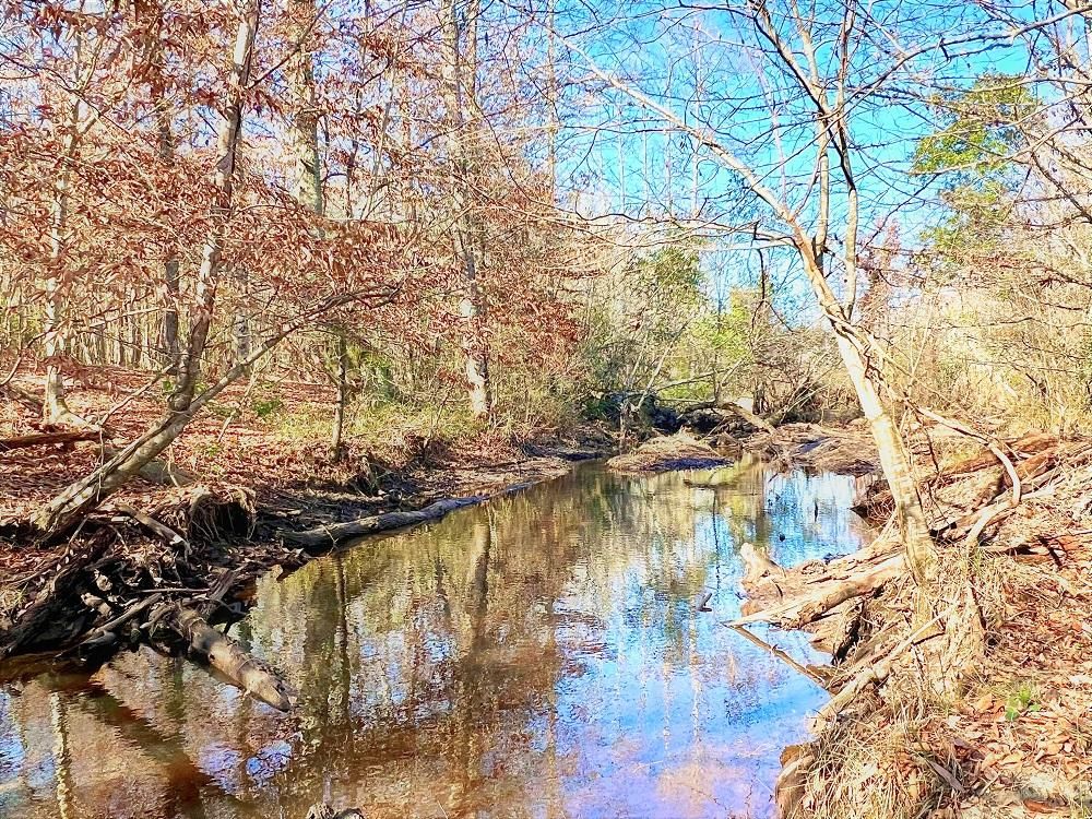 48 acres in Sandersville, GA, 31082 Land and Farm