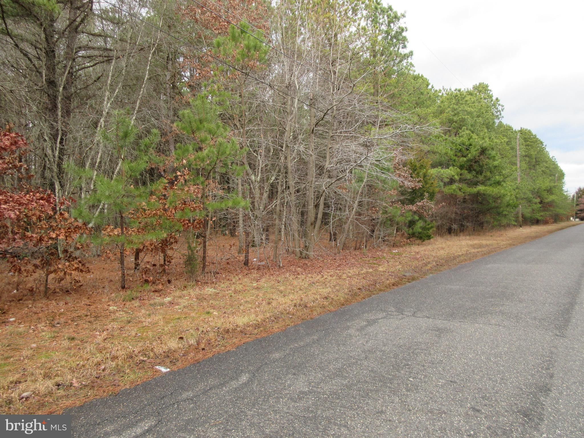 4.48 Acres, 7TH AVENUE, Atco, NJ 08004 Land and Farm