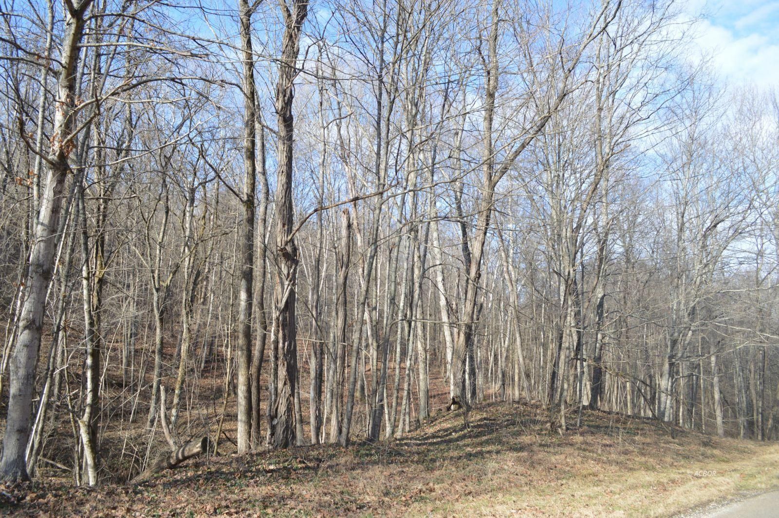 8.08 Acres, Titus Road, Langsville, OH 45741 Land and Farm