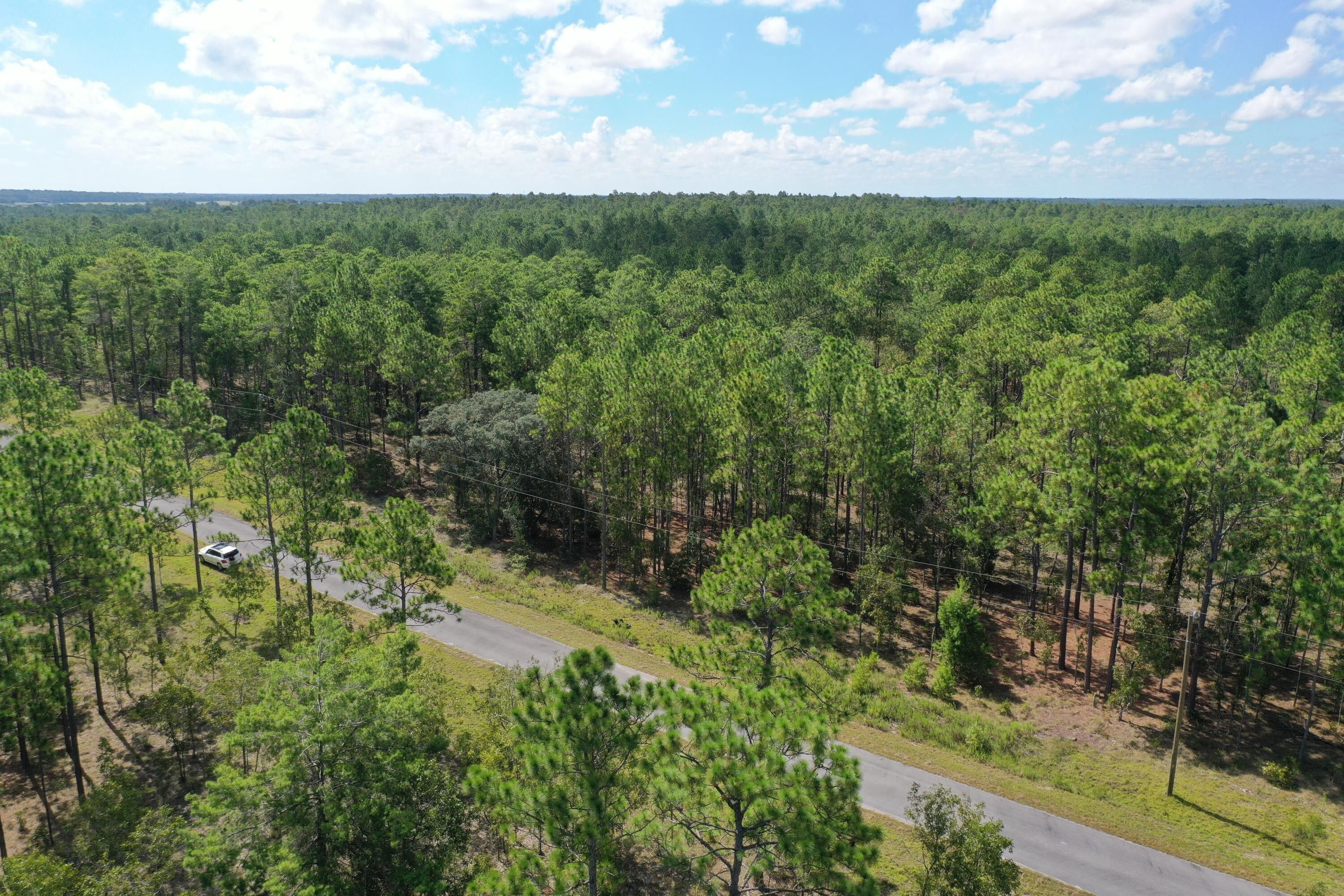 1 Acres, Tbd Nw Geranium Ave, Dunnellon, FL 34431 Land and Farm