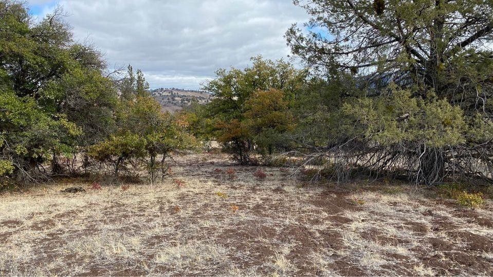 3.2 Acres, Unit 5 Lot 95 Greenfinch Way, Hornbrook, CA 96044 Land and