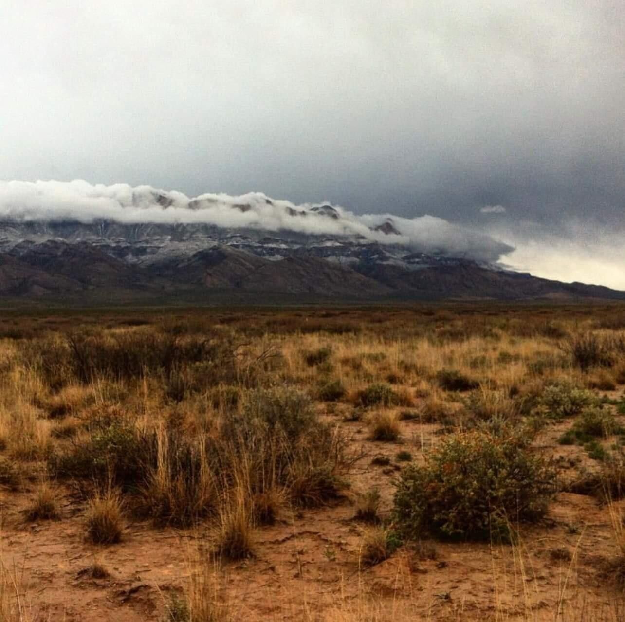 22.14 Acres, TBD TBD, Dell City, TX 79837 Land and Farm