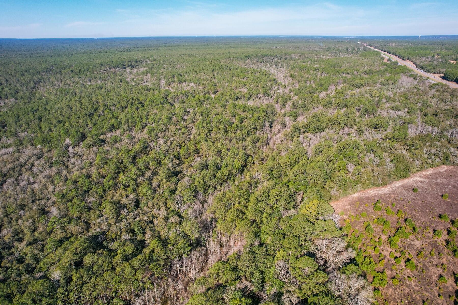 40 Acres, TBD Boy Scout Road, Defuniak Springs, FL 32435 Land and Farm