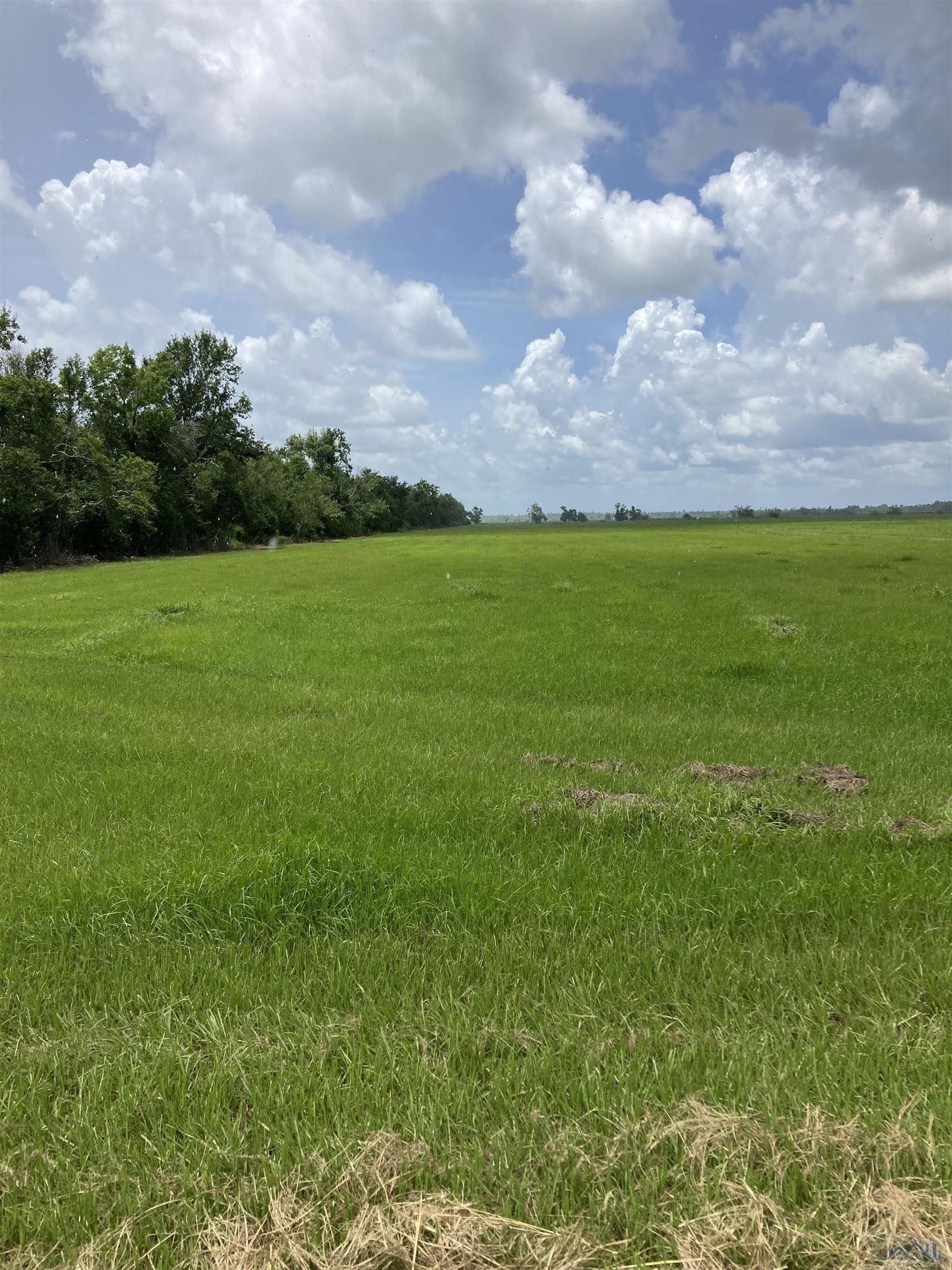 58 Acres, 9238 LA HWY 1, Lockport, LA 70374 Land and Farm