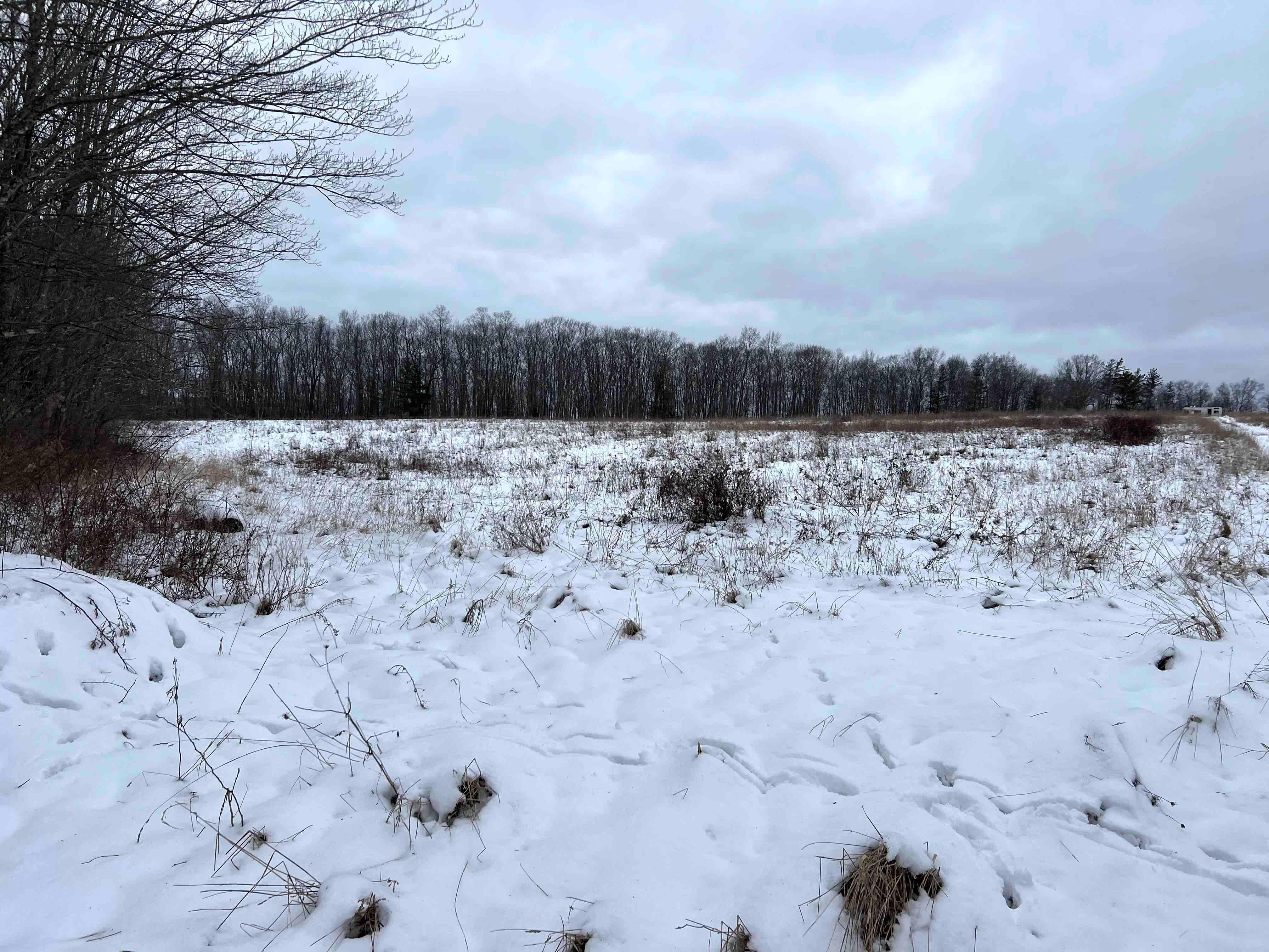 40 Acres, Logue Hill Road, Candor, NY 13743 Land and Farm