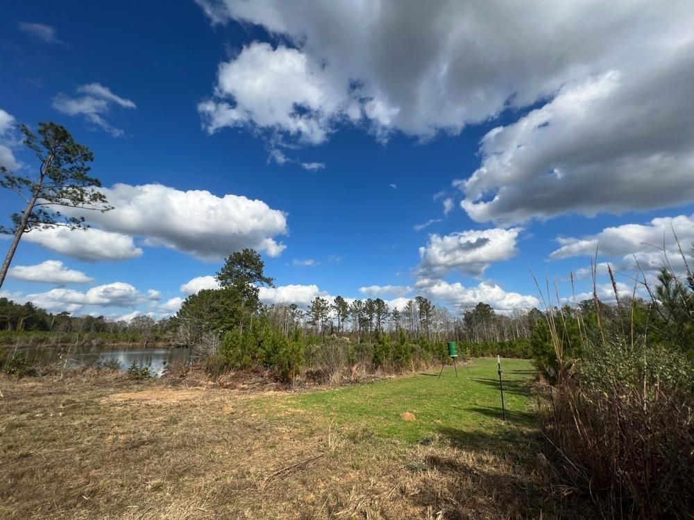 420 Acres, Gardner Road, Grady, AL 36036 Land and Farm