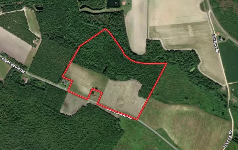 39.26 Acres, Off Boggy Branch Rd, Nichols, SC 29581 Land and Farm