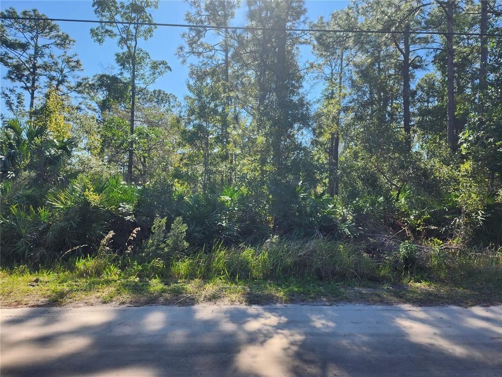5.01 Acres, OLD RIVER TRAIL, Chuluota, FL 32766 Land and Farm