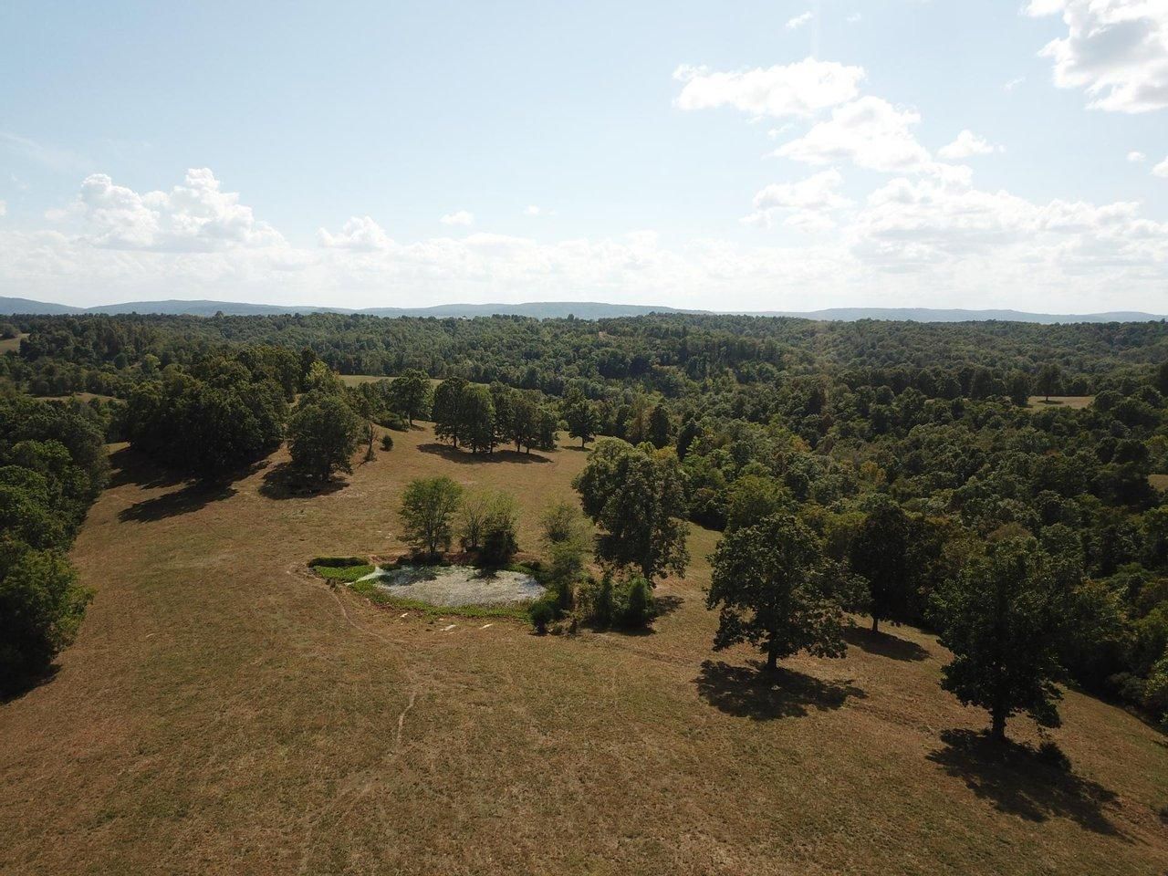 60 Acres, 743 Queens Road, Big Flat, AR 72617 Land and Farm