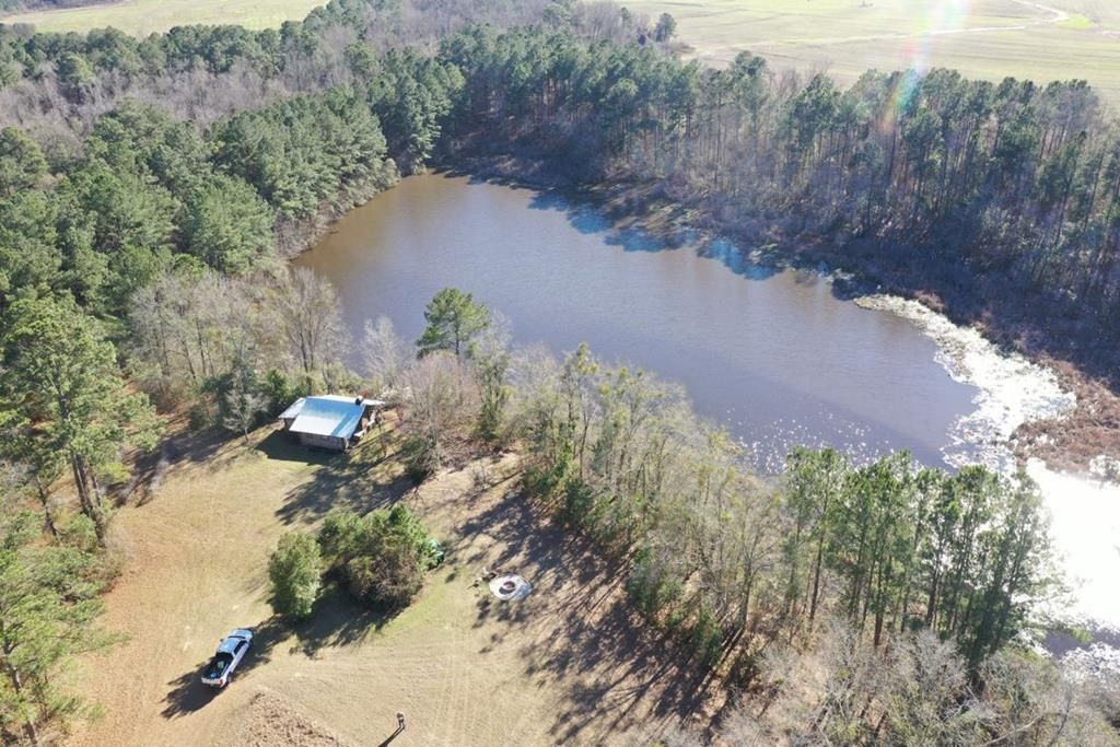 110 Acres, 1537 Harmony Rd, Pelham, GA 31779 Land and Farm