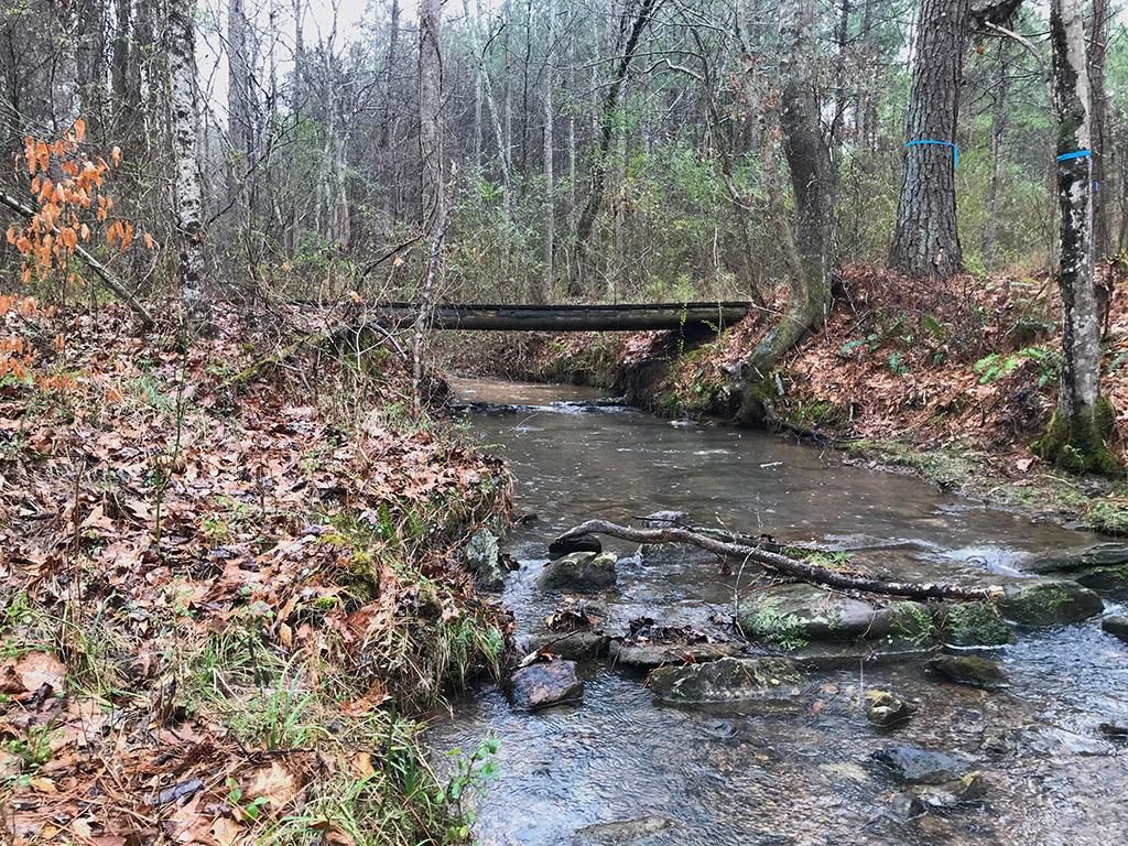 36.4 Acres, Poplar Springs Rd, Summerville, GA 30747 Land and Farm