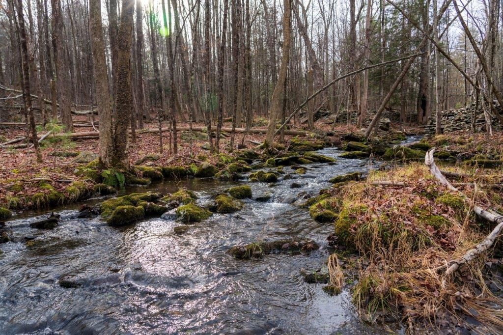 10 Acres, Ellenville, NY 12428 Land and Farm