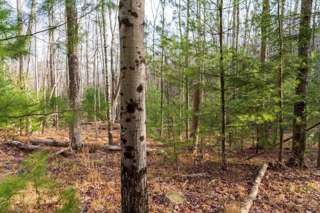 8 Acres, Ellenville, NY 12428 Land and Farm