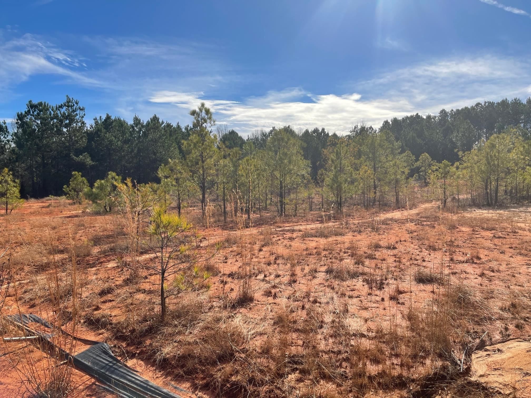 12.93 Acres, 0 S RHODES STREET, Union Point, GA 30669 Land and Farm