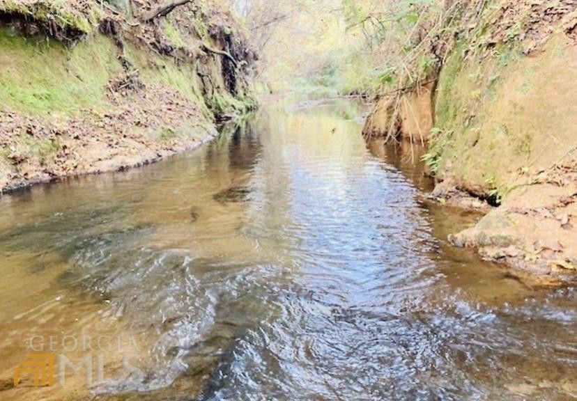 16.99 Acres, 42 Brown Creek Road, Shiloh, GA 31826 Land and Farm