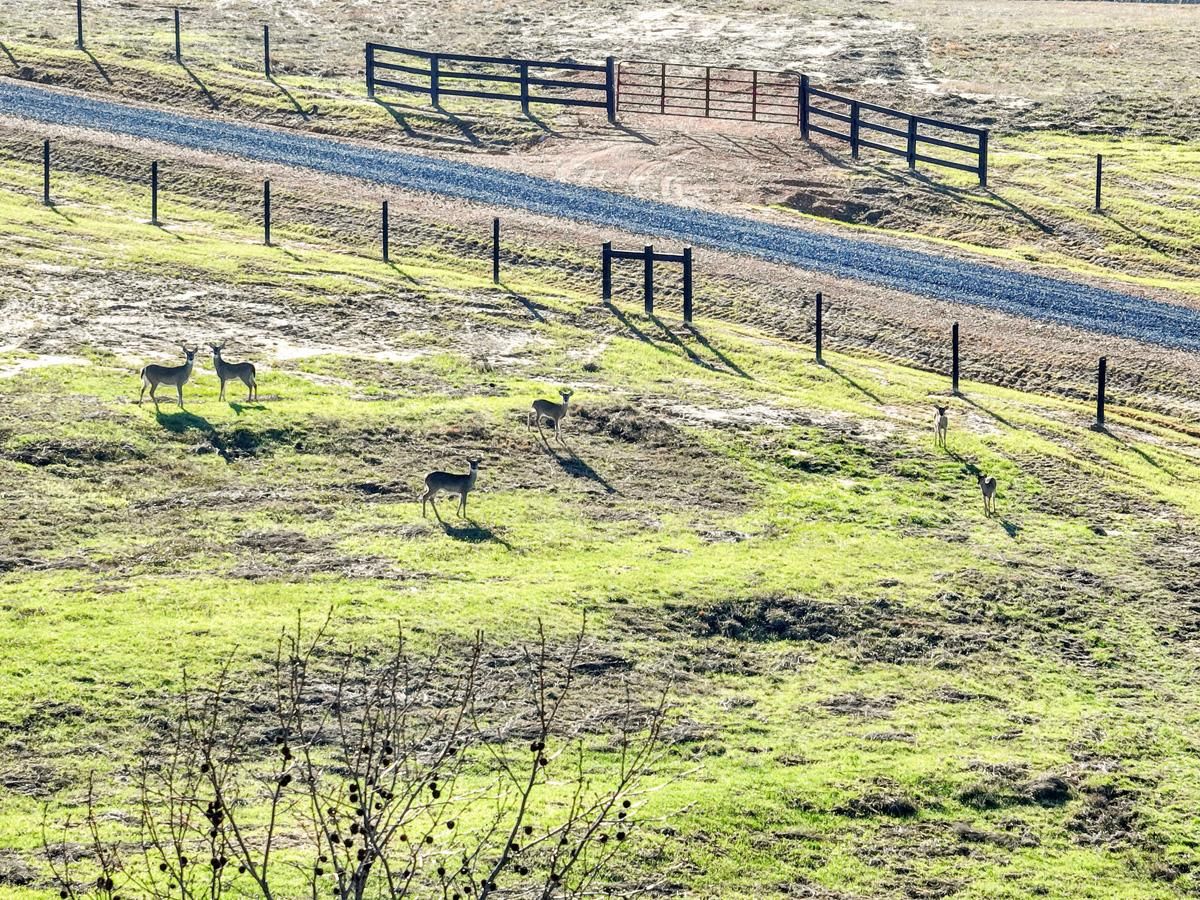 Seven Bark Lane, Oneonta, AL 35121 Land and Farm