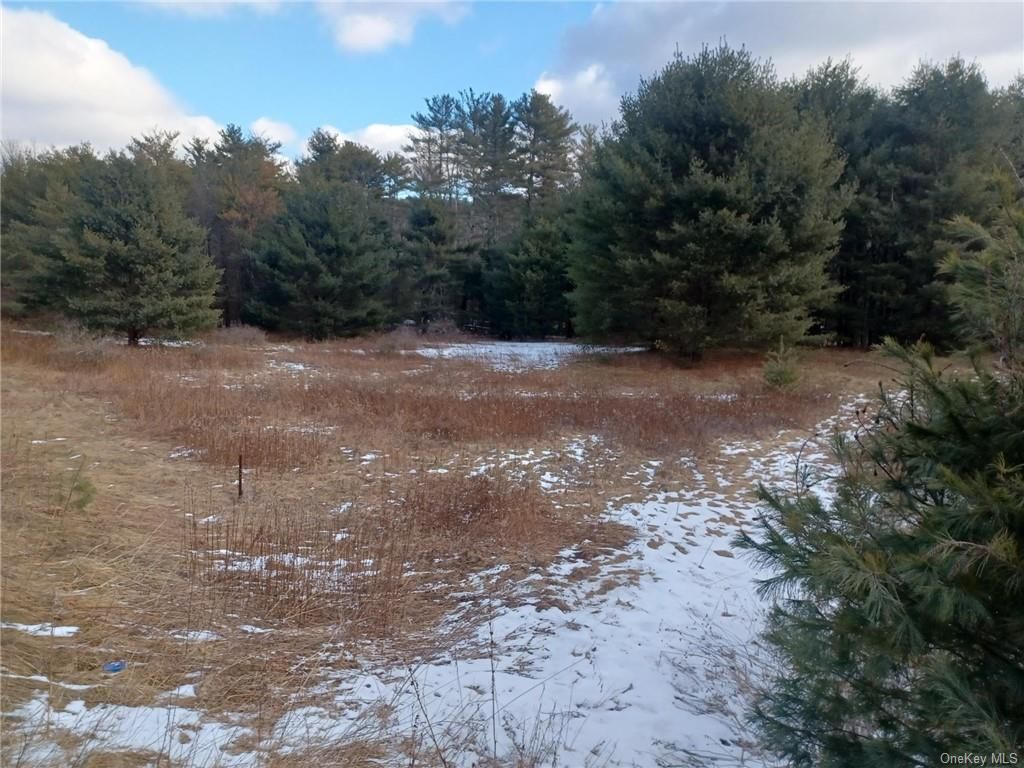 1352 State Route 42, Sparrow Bush, NY 12780 MLS H6230494 Land and Farm