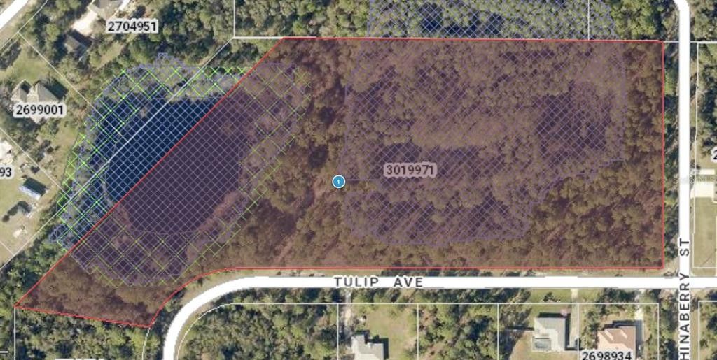 9.71 Acres, TULIP AVENUE, Eustis, FL 32736 Land and Farm