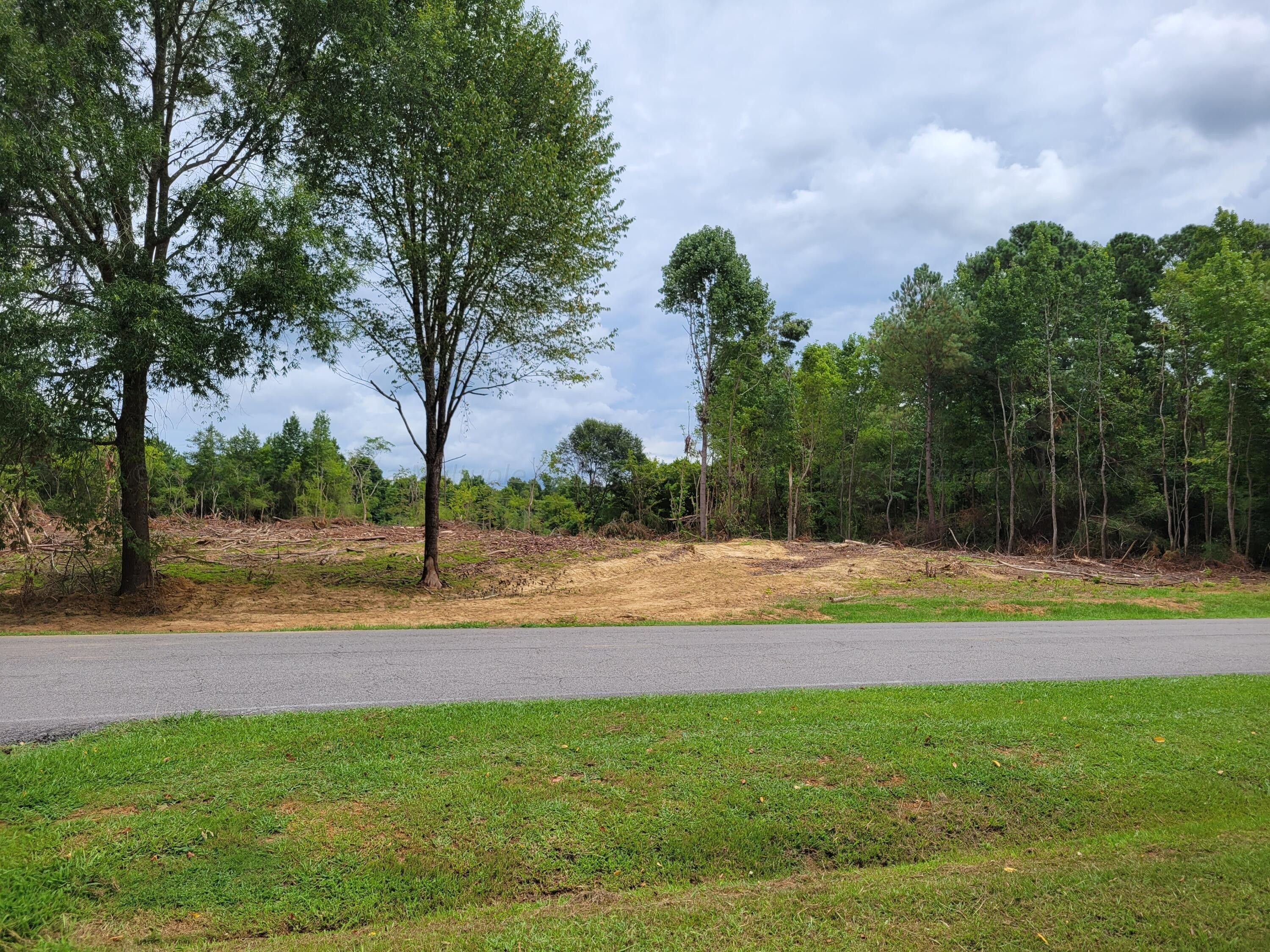 5 Acres, 300 COLLEGE Dr, Hanceville, AL 35077 Land and Farm