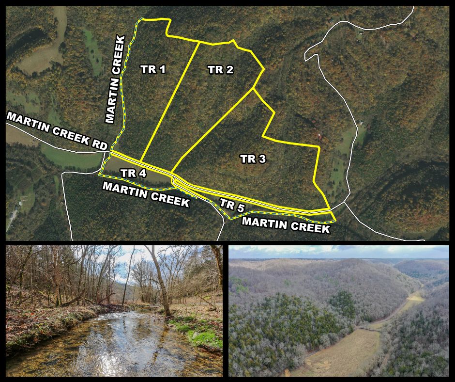 Martin Creek Rd, Bloomington Springs, TN 38545 Land and Farm