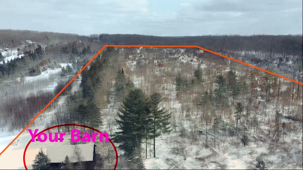 10.2 Acres, 1293 W Sharon Rd SE, Fife Lake, MI 49633 Land and Farm