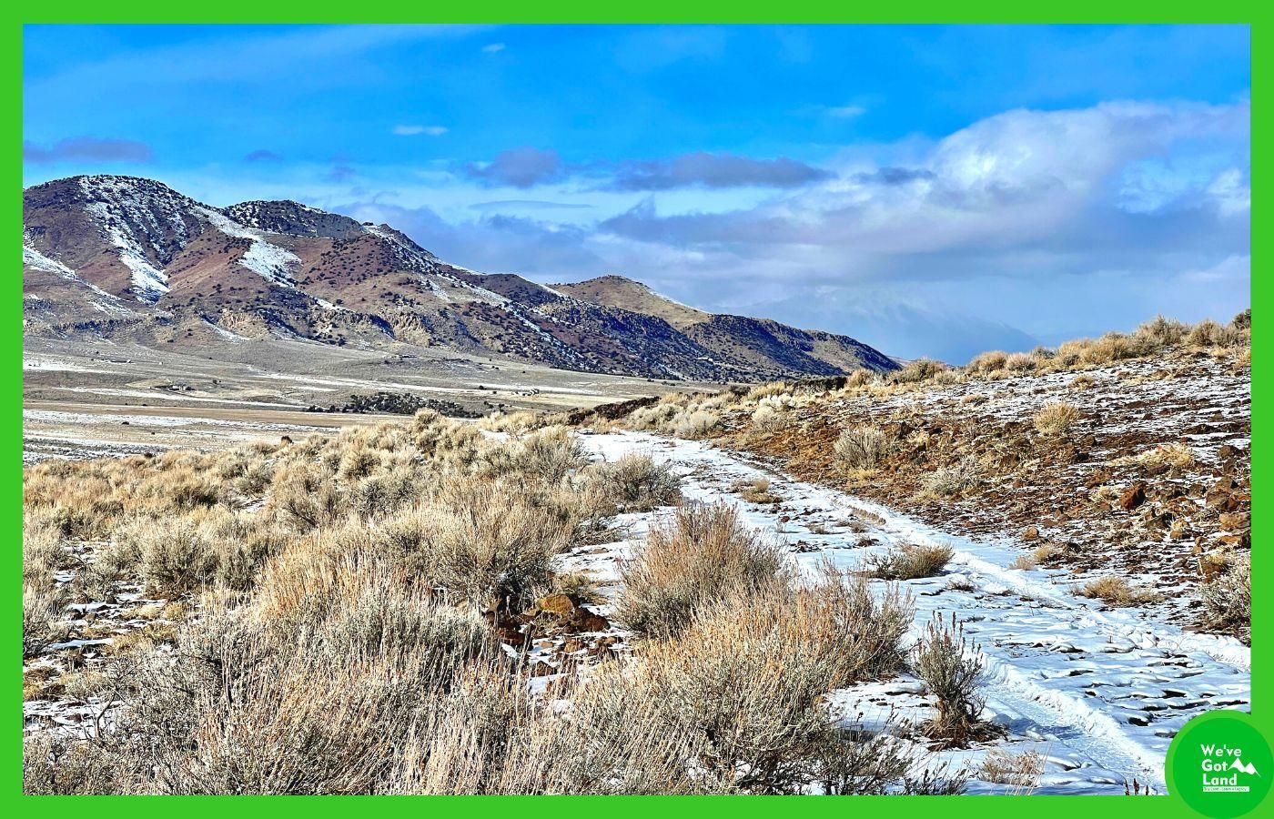 40 Acres, Jaybird Rd, Reno, NV 89510 Land and Farm