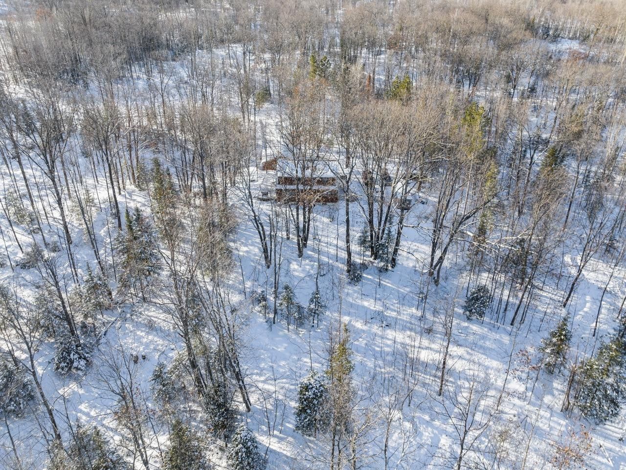 40 Acres, N10279 LOON LAKE LN, Elcho, WI 54428 Land and Farm