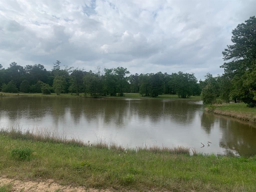 15 Acres, 25750 Johnson Road, Montgomery, TX 77356 Land and Farm
