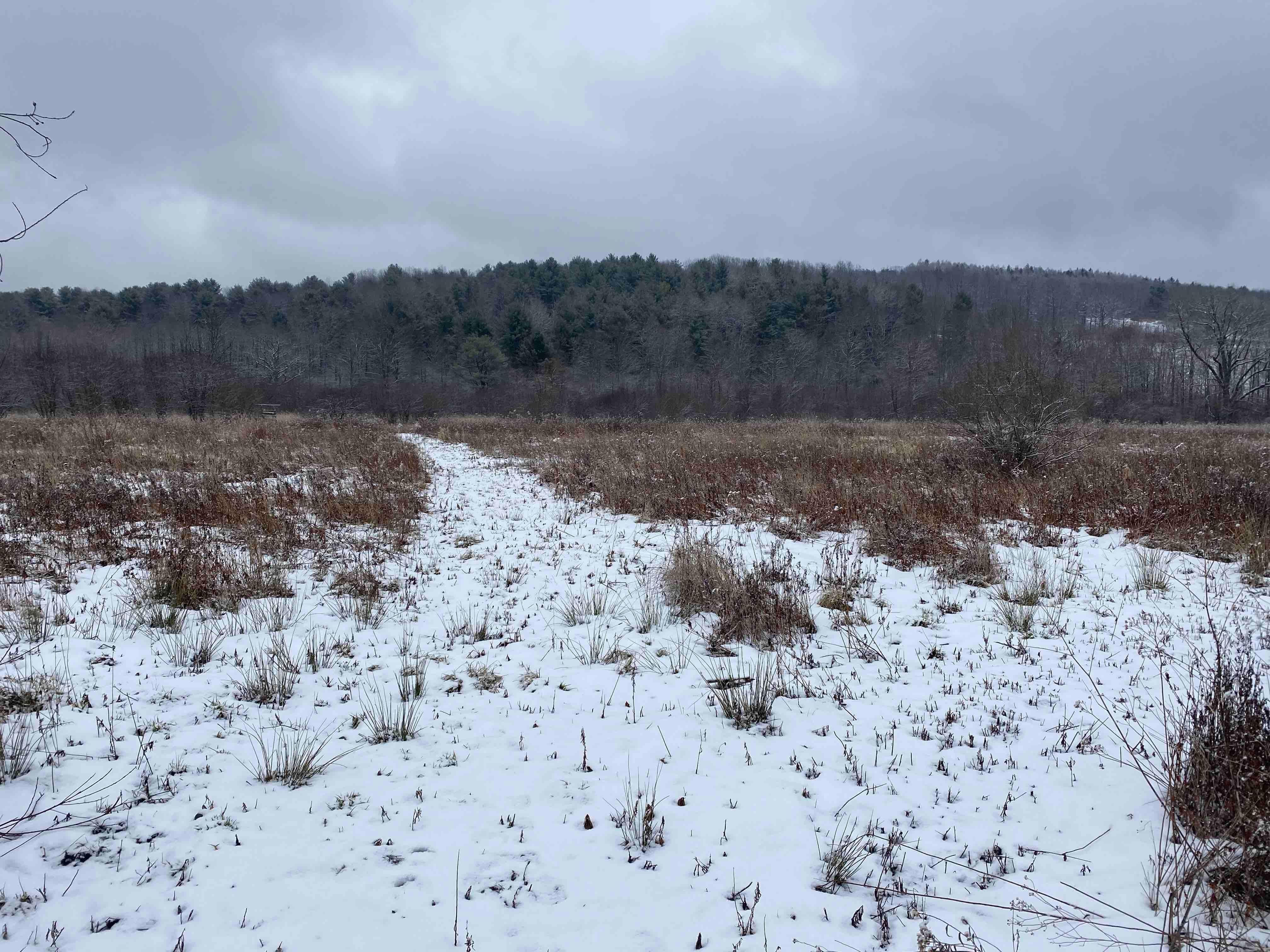 State Route 275, Wirt, NY 14715 Land and Farm