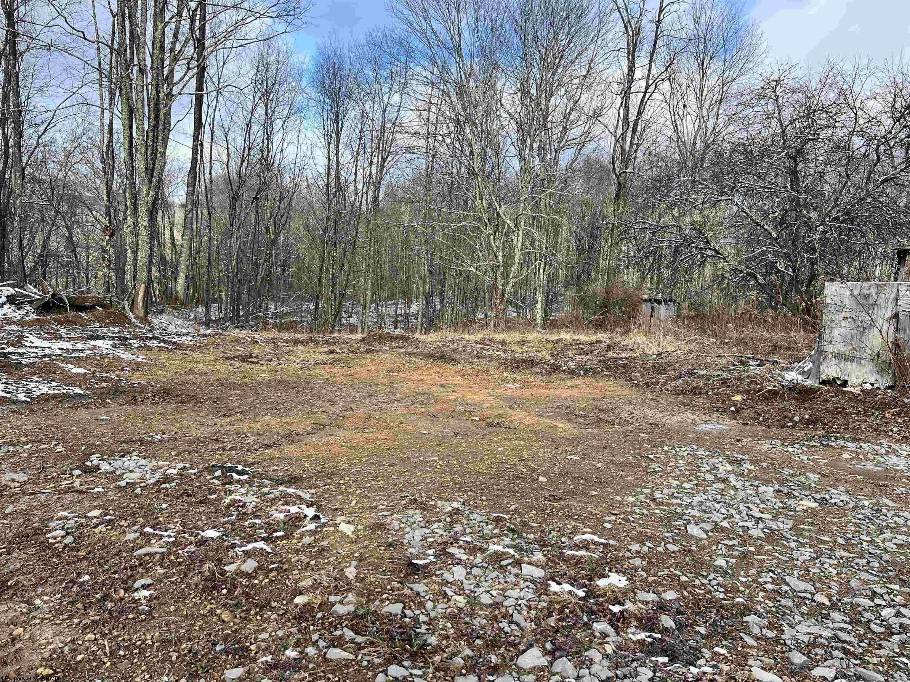 48.18 Acres, 1154 Brady Road, Monterville, WV 26294 Land and Farm