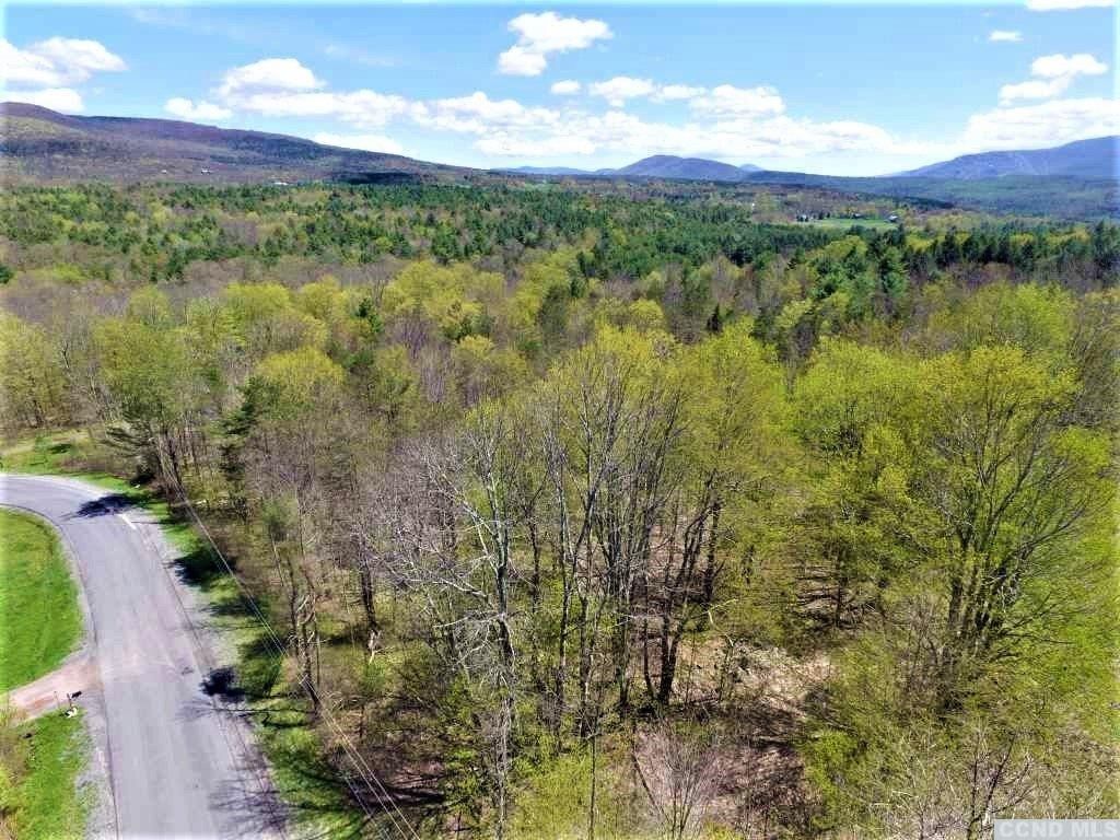 5.9 Acres, 557 Merwin Street, Jewett, NY 12444 Land and Farm